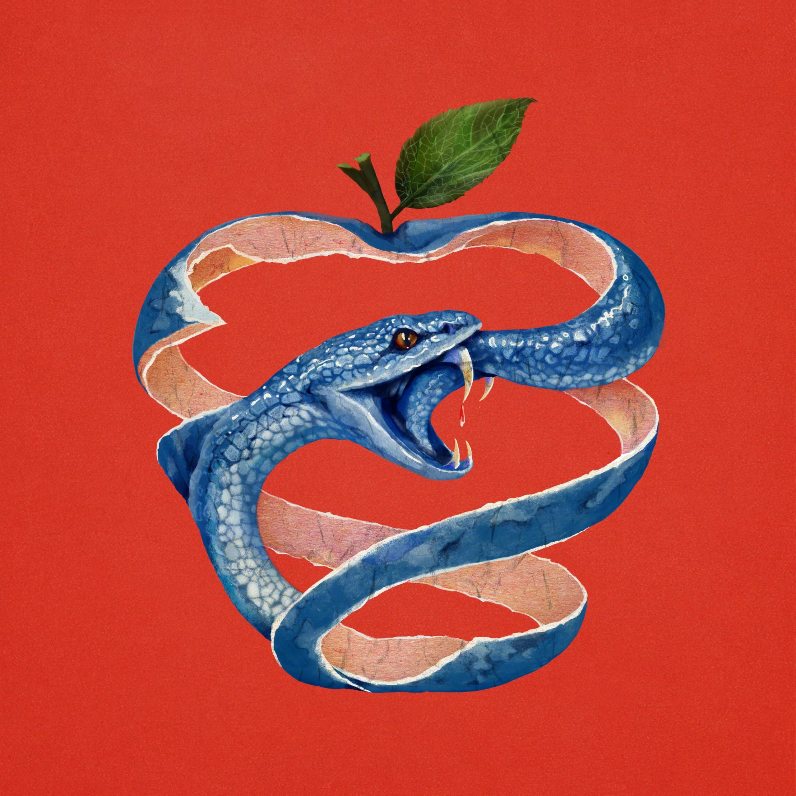 Image Cover